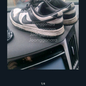 특가)나이키범고래. 250