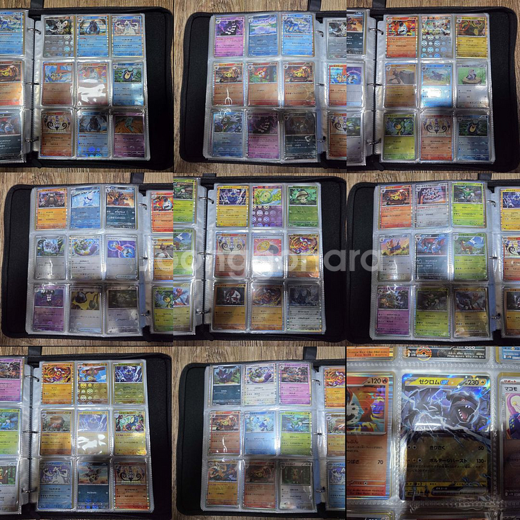 포켓몬카드 2025년 일본판 앨범 총851장포켓몬카드--3