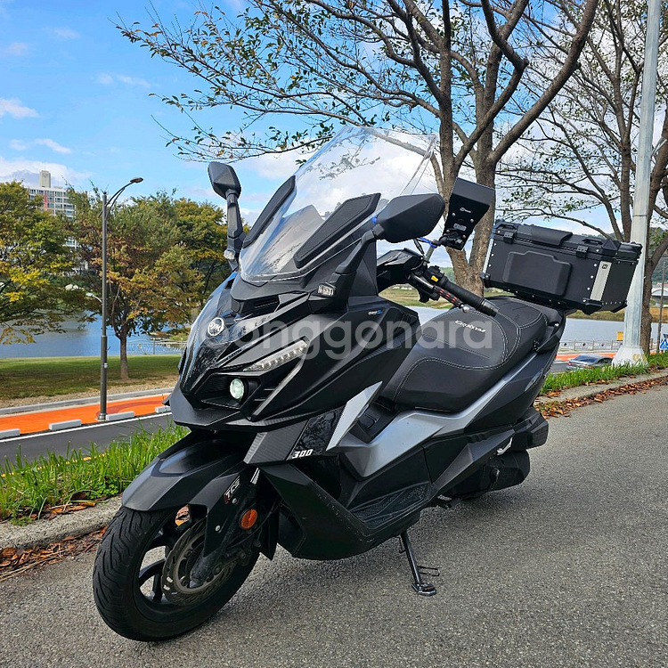 SYM 크루심 알파300cc 퀴터급 빅스쿠터 22년식--0