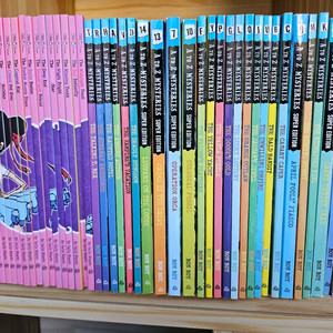 어린이 영어원서 131권(현지에서 직접구입)