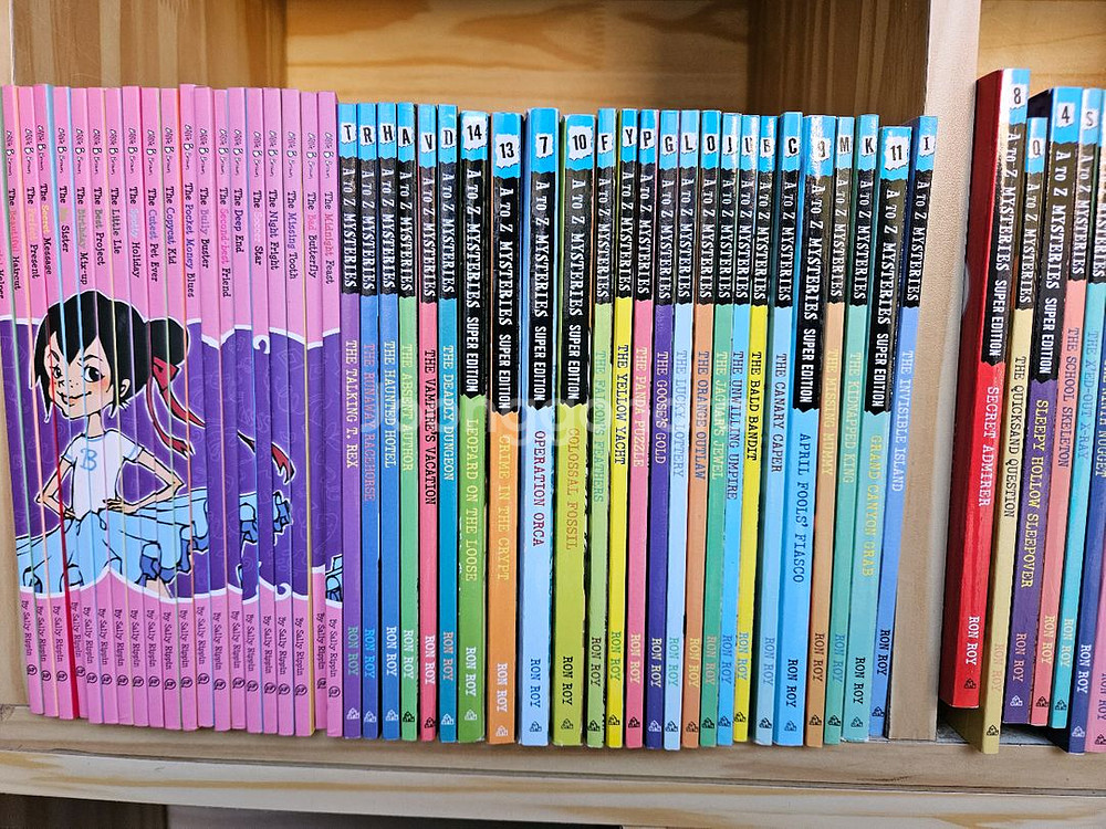 어린이 영어원서 131권(현지에서 직접구입)--6