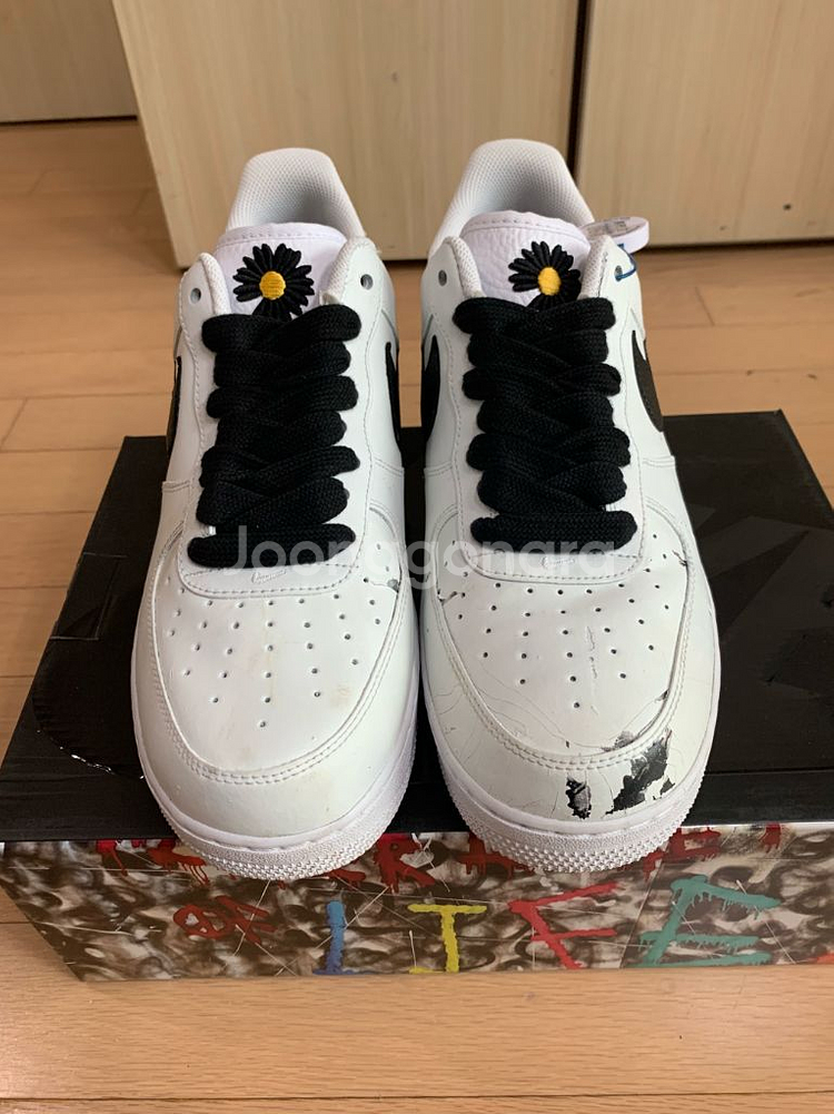 [310]나이키 피스마이너스원 피마원 포스 지디 2.0--1