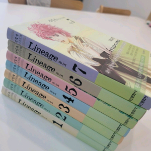 신일숙 리니지 환상전집 이미지