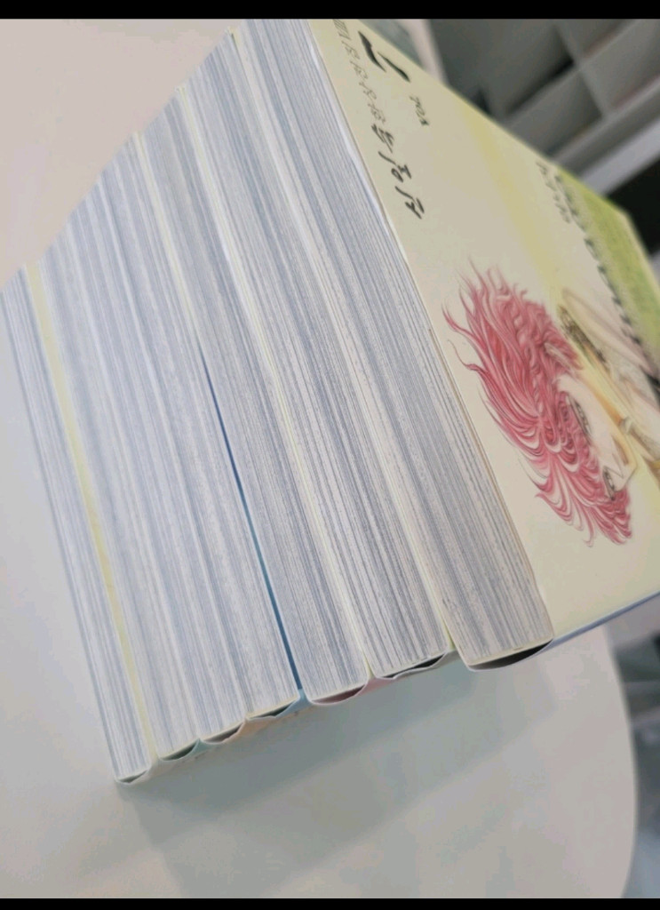 신일숙 리니지 환상전집 이미지