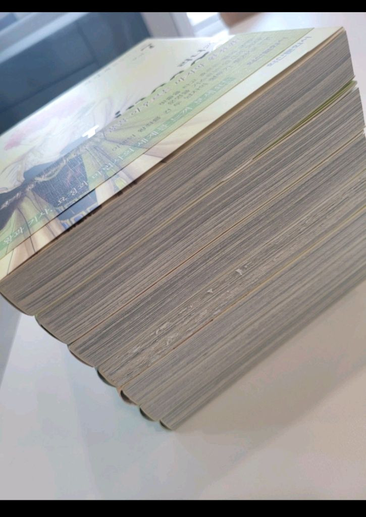 신일숙 리니지 환상전집 이미지