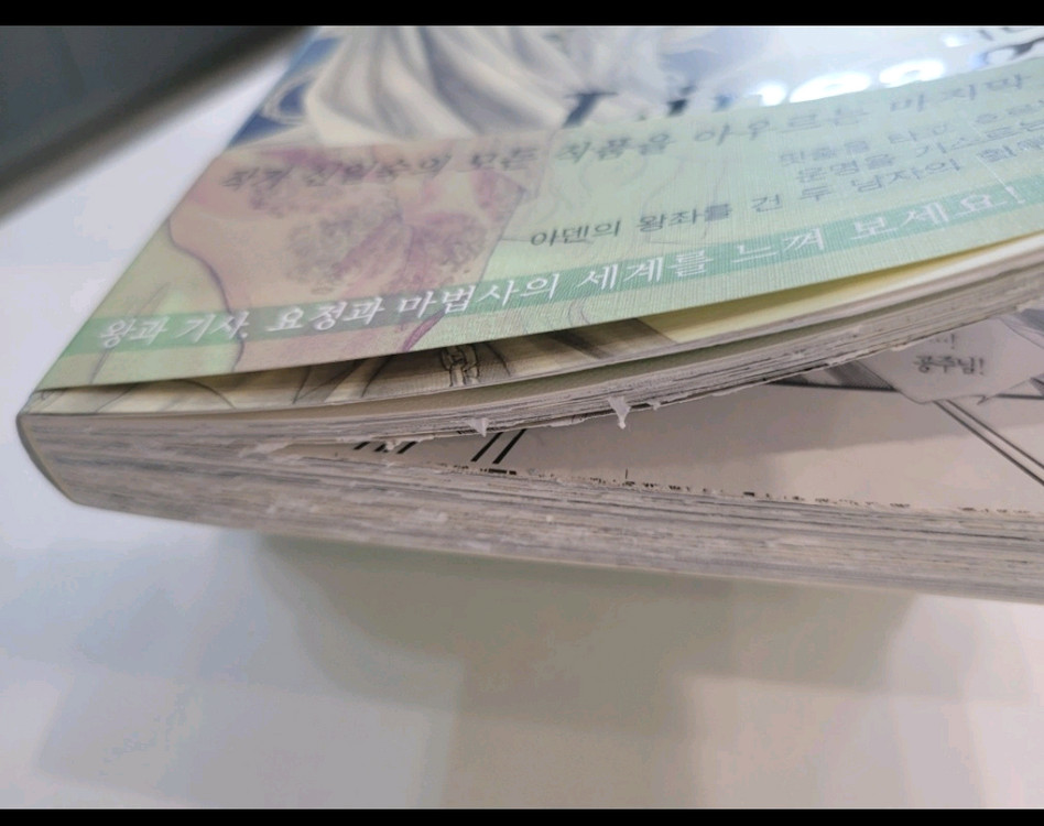 신일숙 리니지 환상전집 이미지