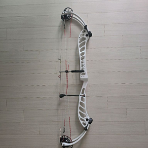 PSE 도미네이터 듀오38 (경기용 컴파운드 보우)