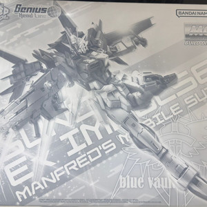 MG 건담 엑스 임펄스 mg 테스터먼트건담 등 팝니다.