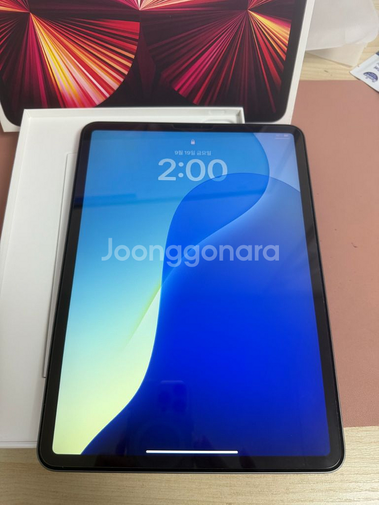 아이패드 프로 3세대 11인치 m1 2테라 스페이스그레--0