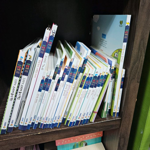 프뢰벨토탈 시스템 최신버젼 읽기 프로그램 30권