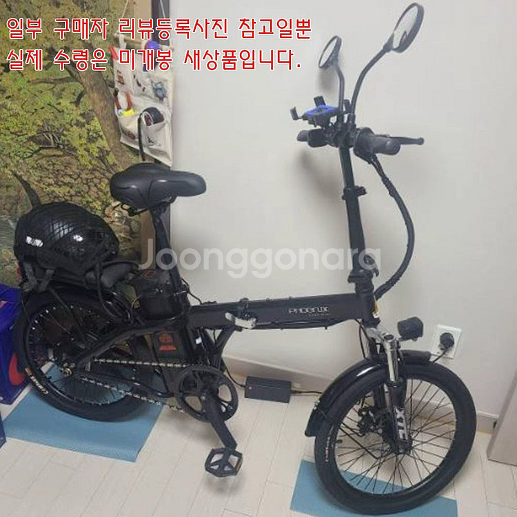 피닉스 접이식 20인치 전기자전거 8AH--1