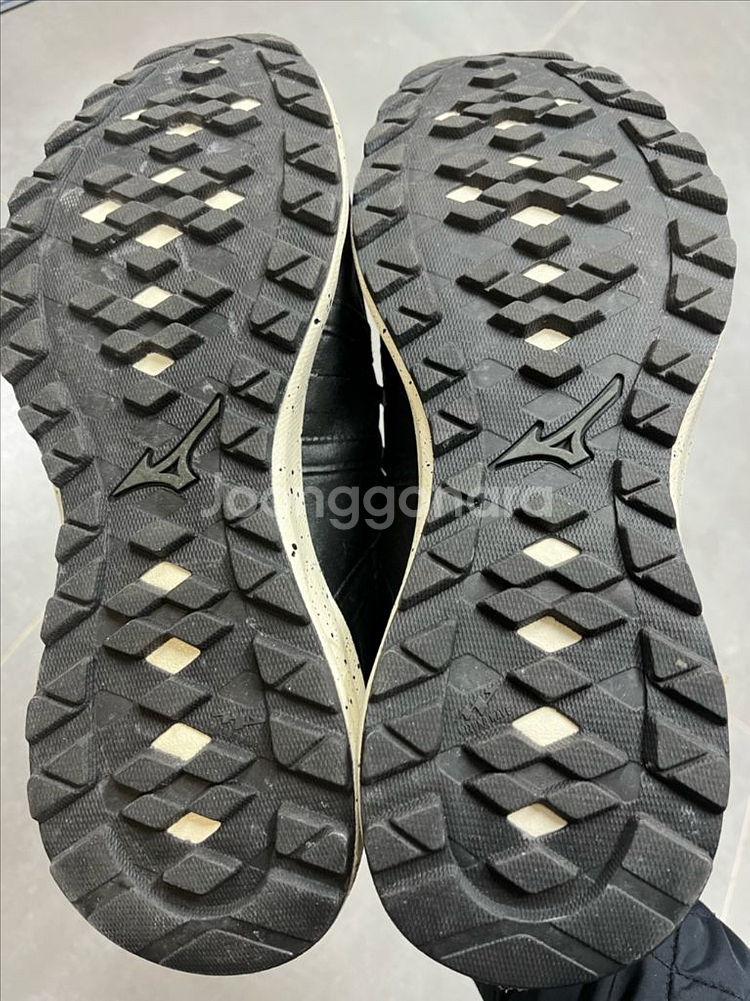 미즈노 웨이브 에보크 고어텍스 260mm--2