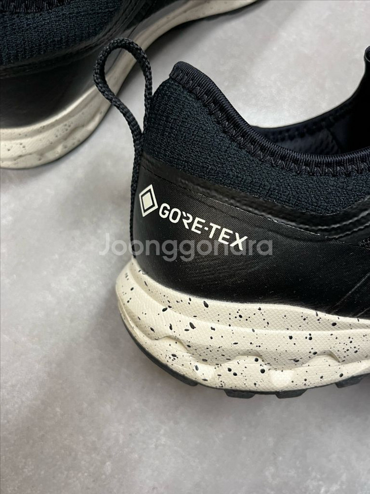 미즈노 웨이브 에보크 고어텍스 260mm--1