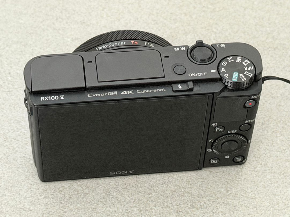 소니RX100V+슈팅그립+배터리2+가죽케이스 판매합니다--4
