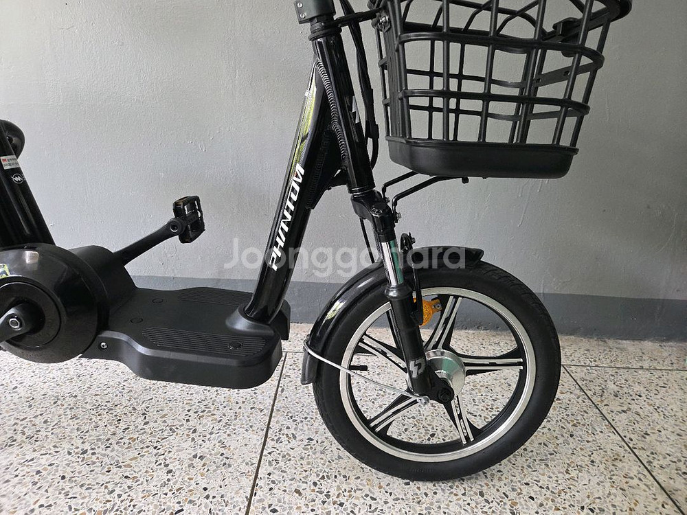 삼천리 베스티아 플러스 2025년식 PAS형--2