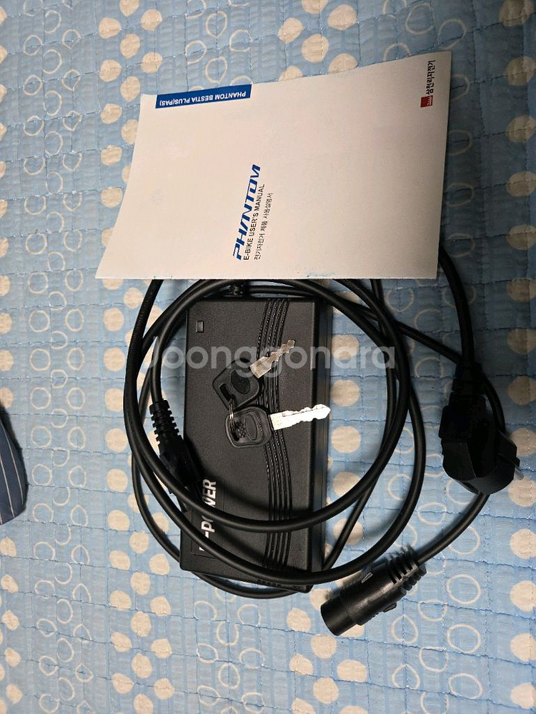 삼천리 베스티아 플러스 2025년식 PAS형--8