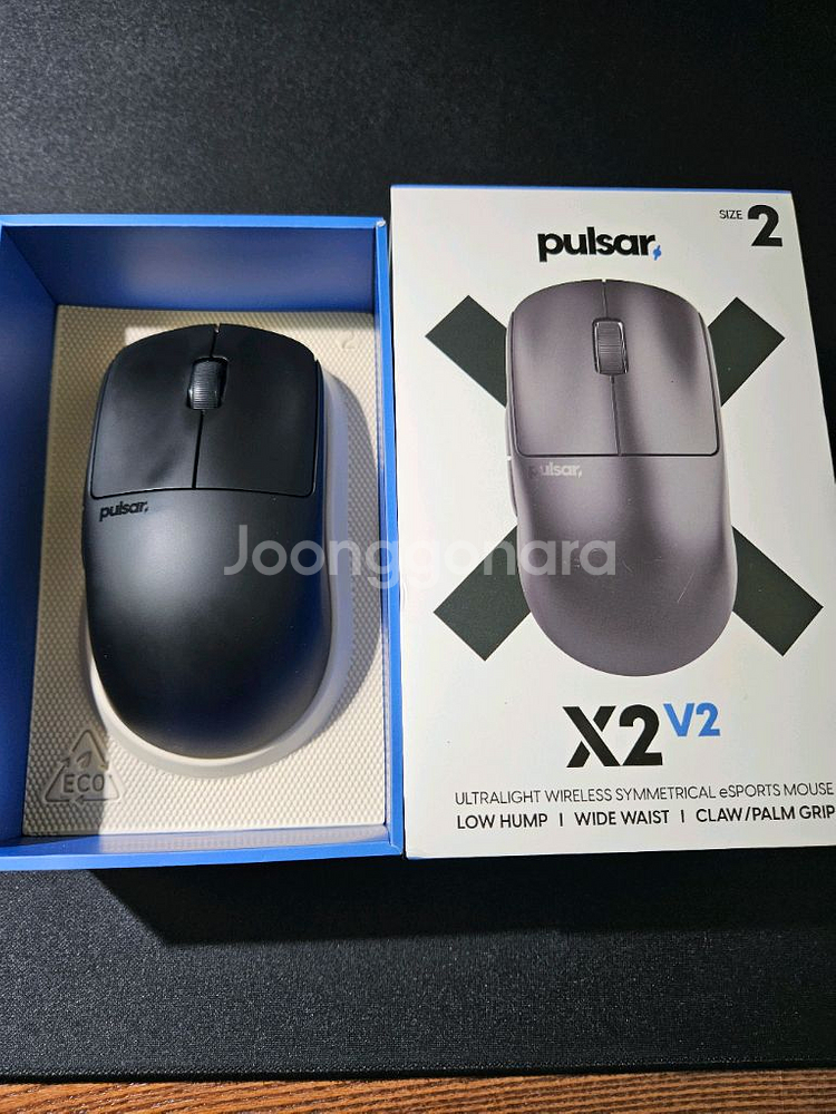 펄사 X2V2 미디움--0