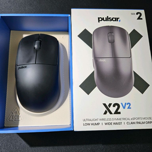 펄사 X2V2 미디움