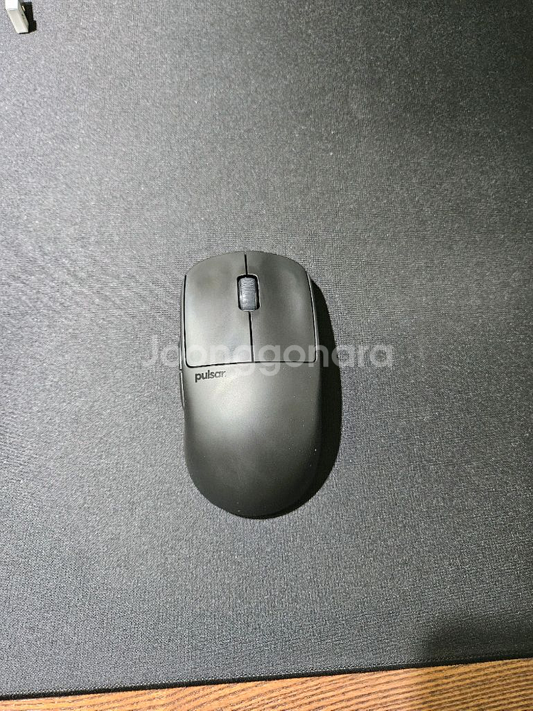 펄사 X2V2 미디움--1