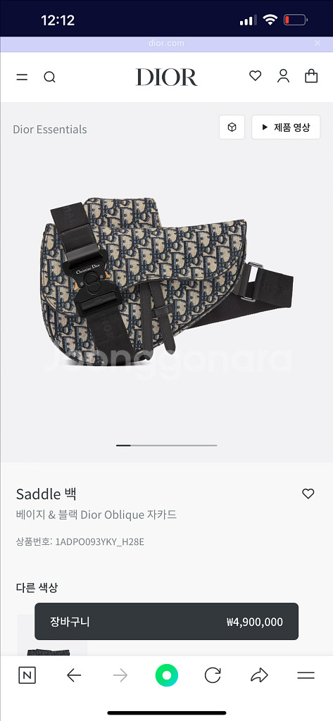 디올 새들백 남성 오블리크--0