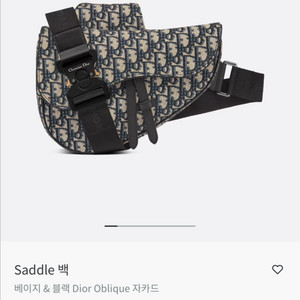 디올 새들백 남성 오블리크