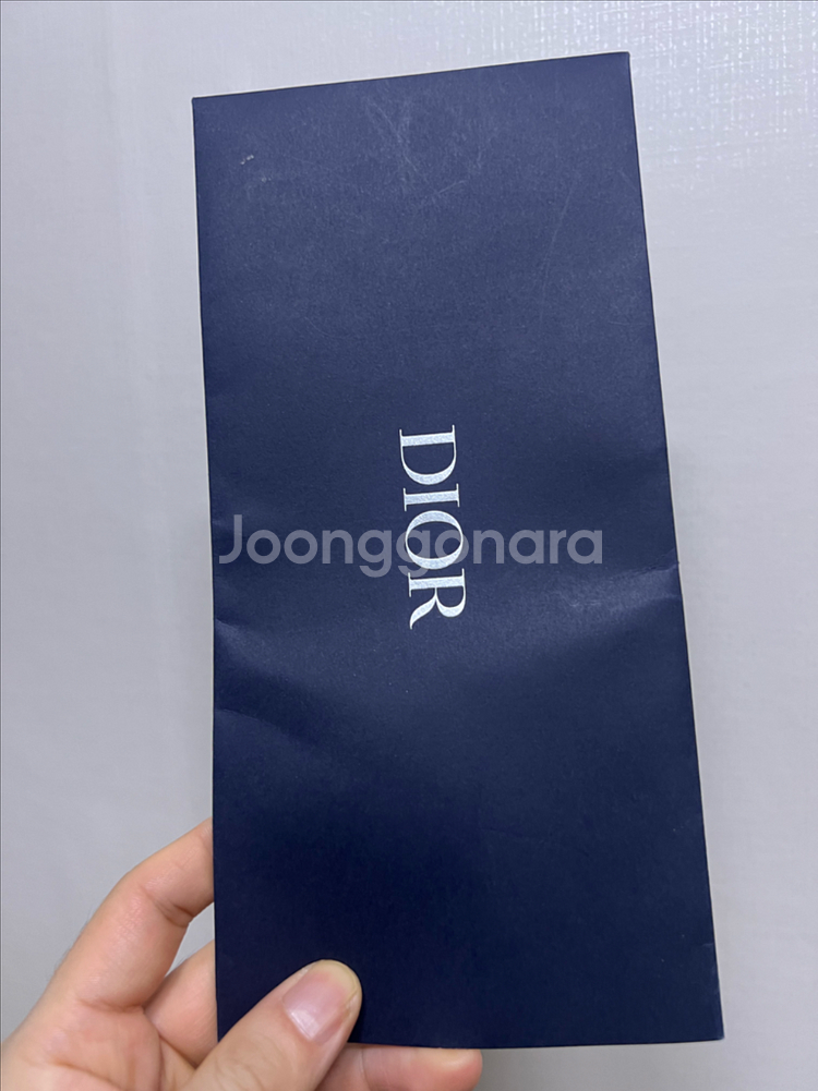 디올 새들백 남성 오블리크--1