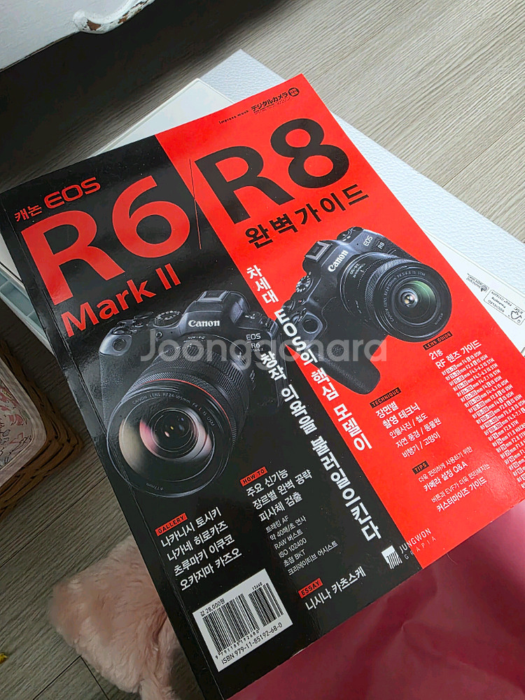 캐논 EOS R6 Mark 2 알육막투 r6m2--3