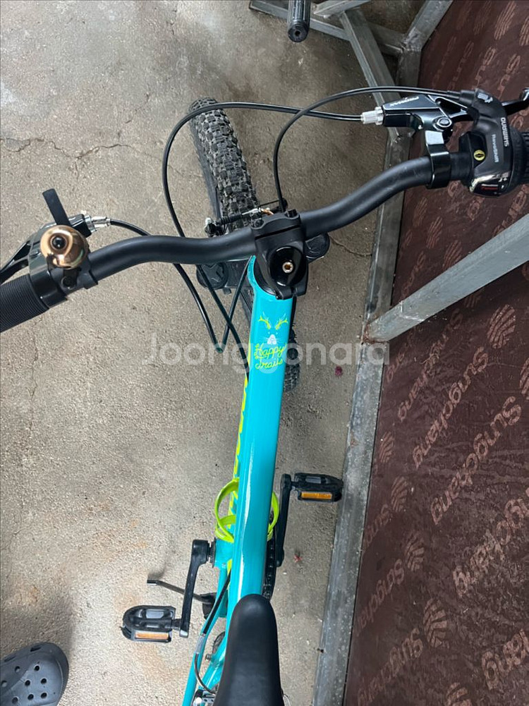 캐논데일 20인치 어린이 자전거--3