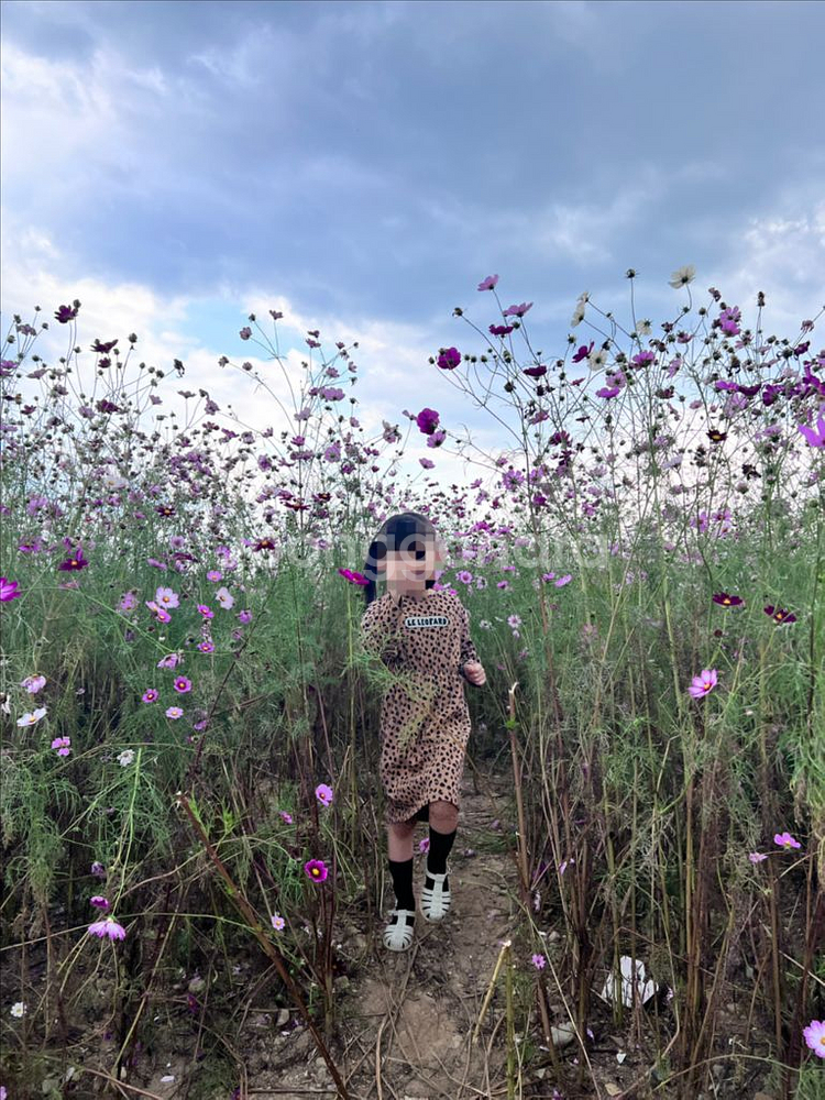 리미떼두두 레오파드 원피스&티셔츠 남매룩--3