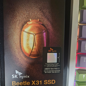 국내정발)SK하이닉스 비틀 X31 1TB 외장하드