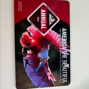 애뉴얼패스(26년 4월까지)