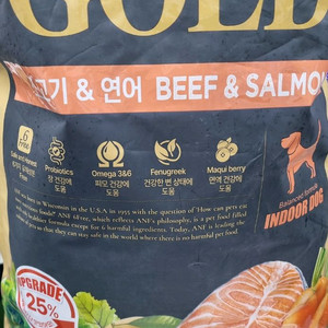 ANF 식스프리골드 인도어 독 소고기&연어 10kg