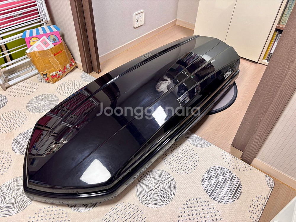 툴레 다이나믹 M 800--1