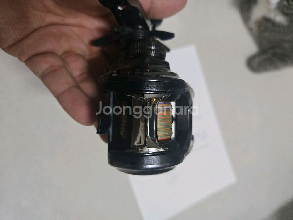 21 코우가 ic 150pl 직수--2