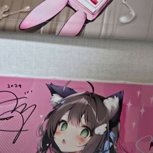 카로리 karory 친필싸인 캔버스 팝니다.