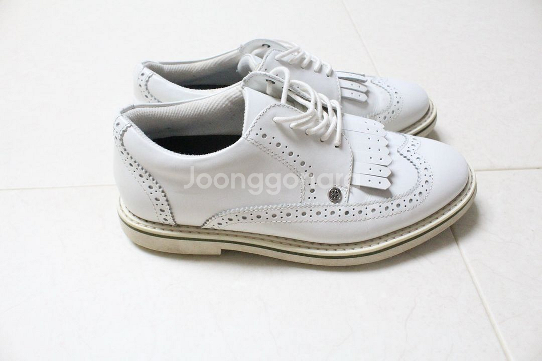 지포어 길티 골프화 250사이즈--3