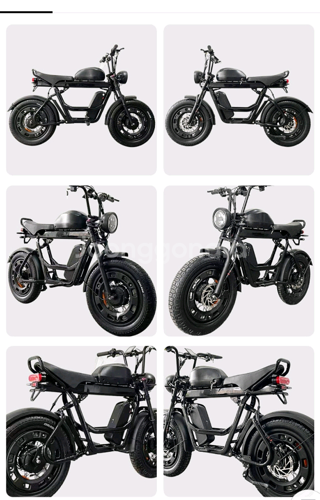 벤틀러스 MP1000 로드스터/전후방1500W/55AH--6