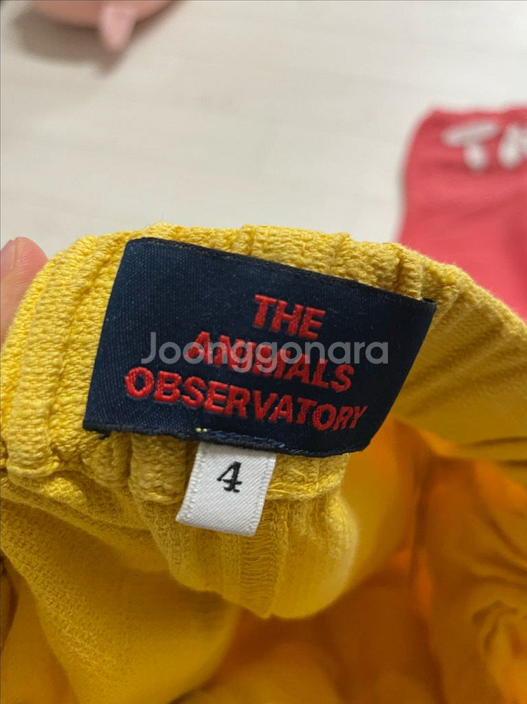 타오 로고 바지--2