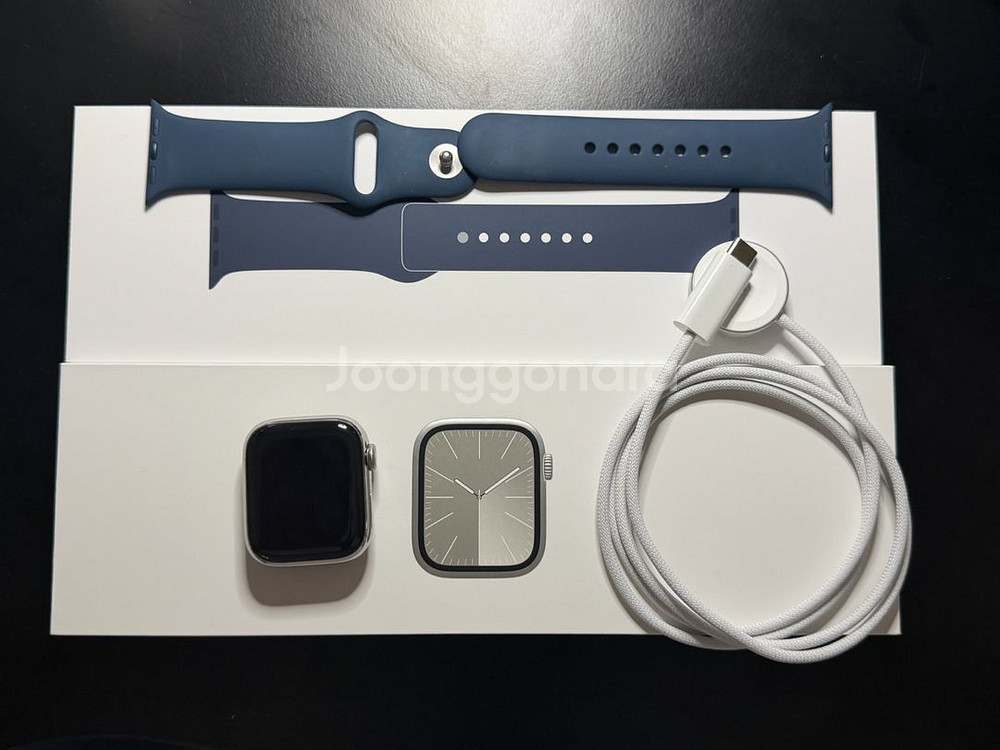 애플워치9 41mm 스테인리스 실버 팝니다--2