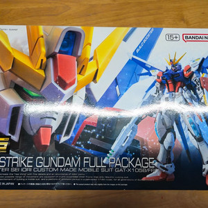 rg 빌드 스트라이크 건담