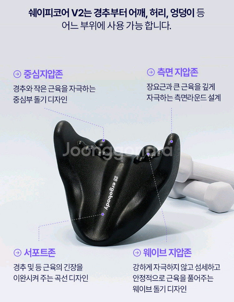 에르고바디 쉐이피코어 v2--4
