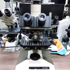 OLYMPUS BH2 3안CCD 현미경 싸게판매합니다