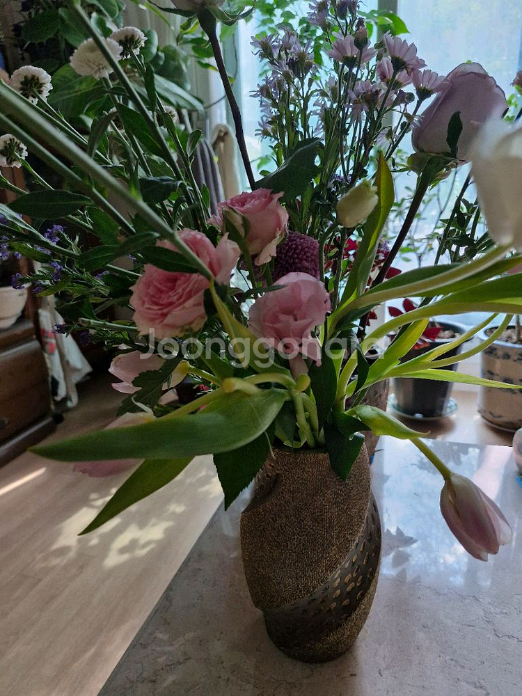 화병세트 실내조명등예뻐요--0