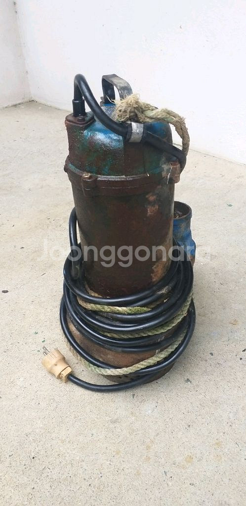 2마력 테티스 SP-1900S 수중 물 모터 배수 펌프--4