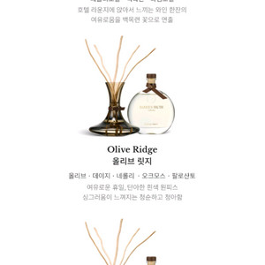 다니엘트루스 올리브릿지 디퓨저300ml 판매합니다.