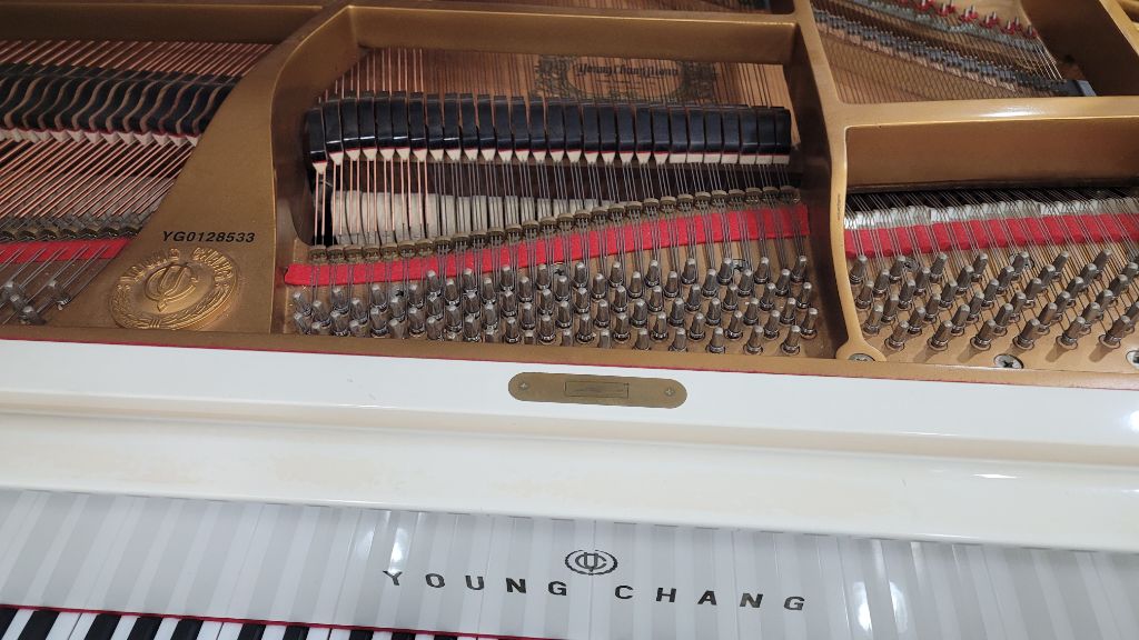 영창 그랜드피아노 G-155 (화이트)--3