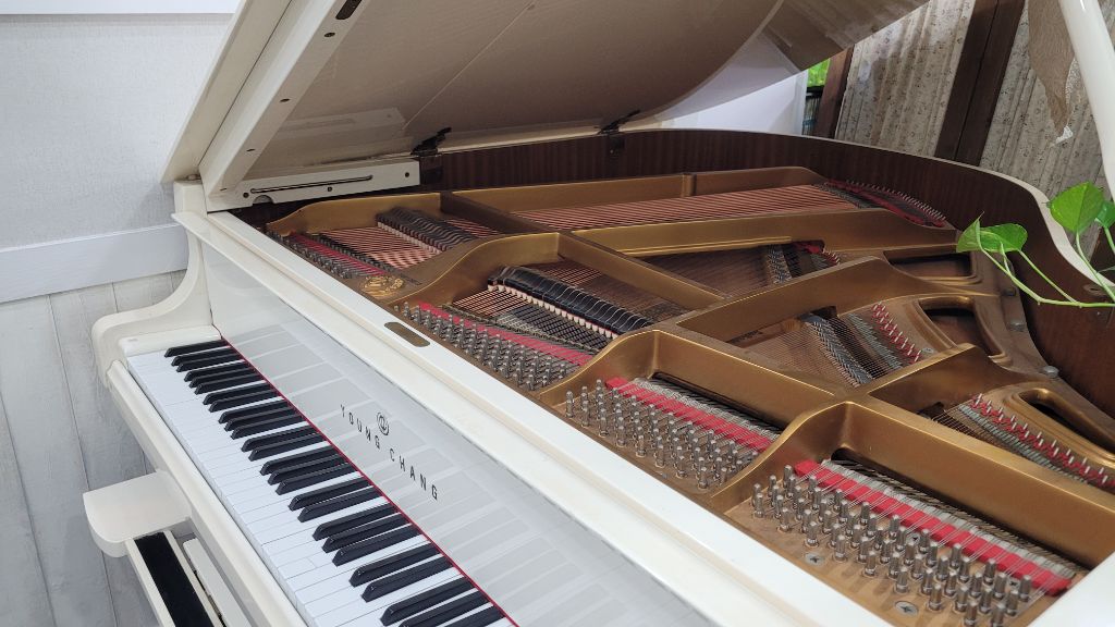 영창 그랜드피아노 G-155 (화이트)--4