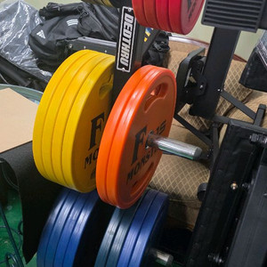 에프몬스터 컬러 우레탄 원판 280kg 일괄