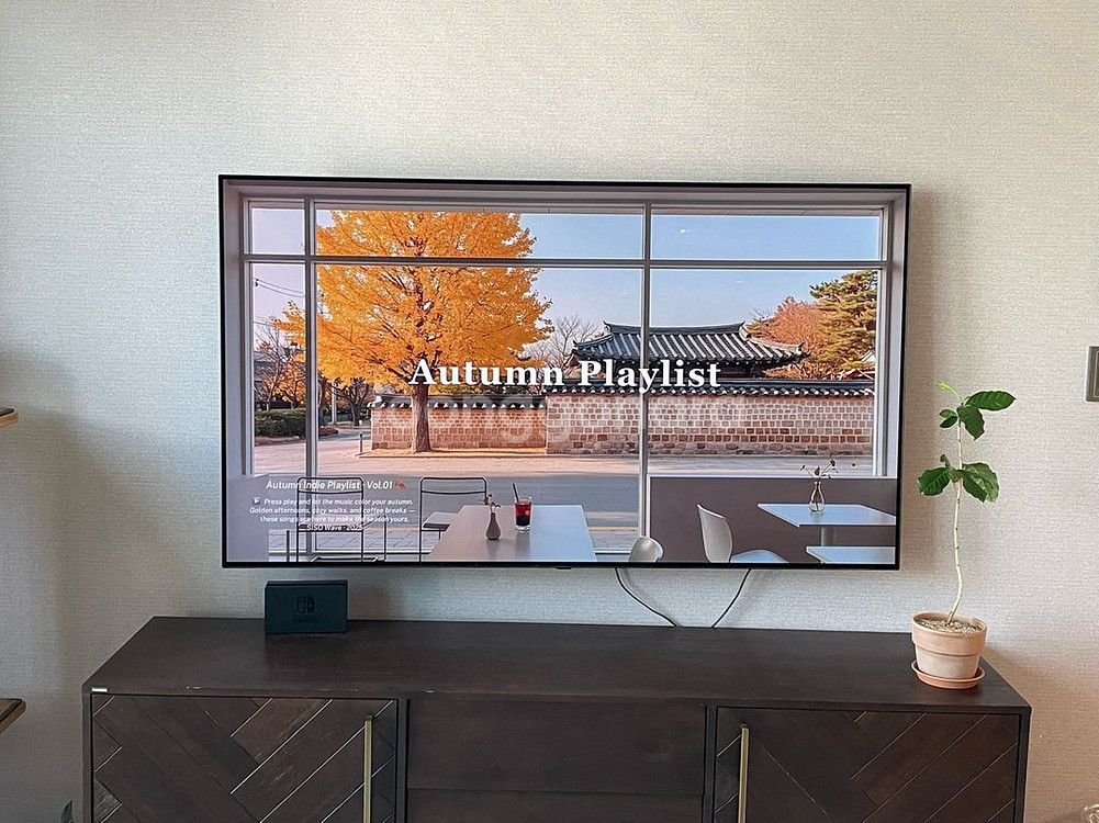 LG OLED 65인치 [OLED65BXFNA]--0