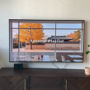LG OLED 65인치 [OLED65BXFNA]